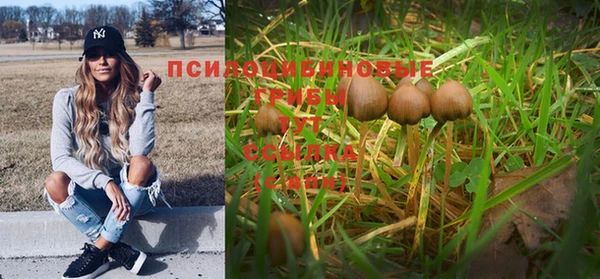 хмурый Нея