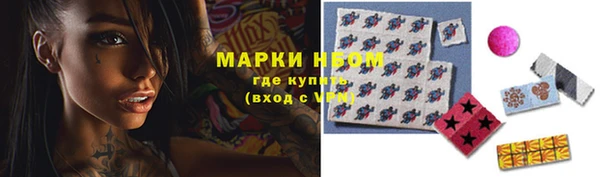 мяу мяу мука Аркадак