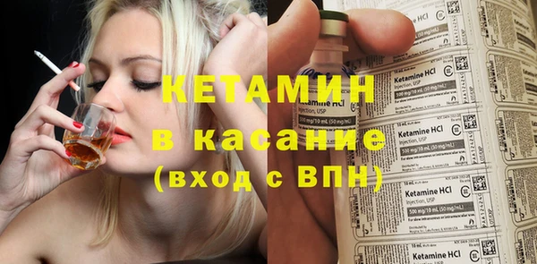 шишки Арсеньев