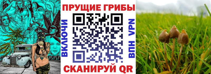 Галлюциногенные грибы ЛСД  Вичуга 